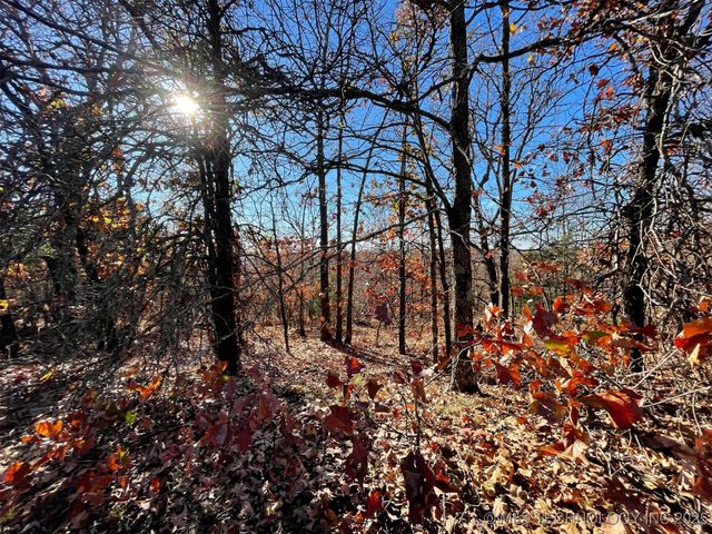 S 4507 Road, Vian, OK 74962