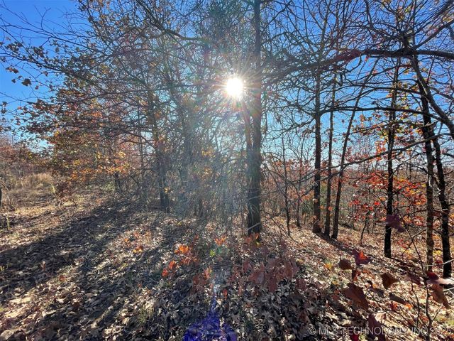 S 4507 Road, Vian, OK 74962