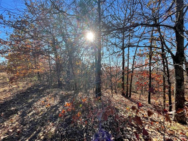 S 4507 Road, Vian, OK 74962