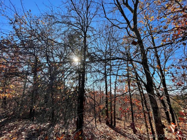 S 4507 Road, Vian, OK 74962