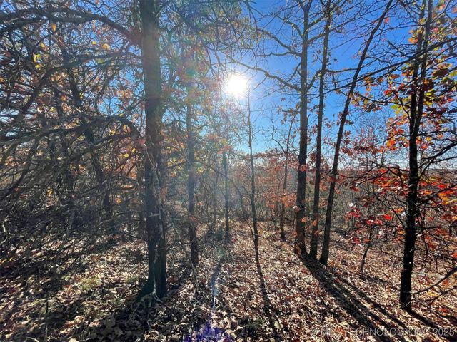 S 4507 Road, Vian, OK 74962