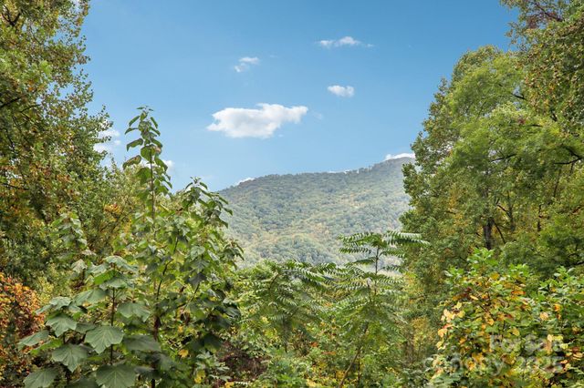 311 Jacks Knob Road, Barnardsville, NC 28709