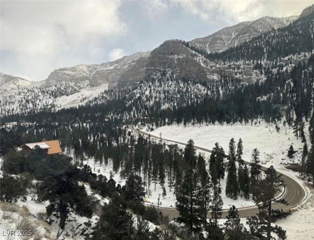 311 Crestview Drive, Mount Charleston, NV 89124