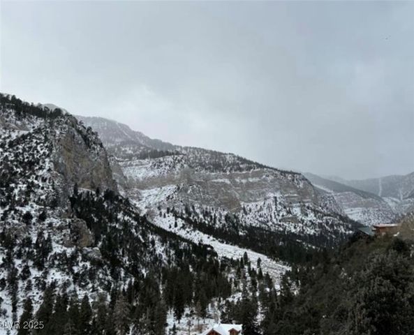 311 Crestview Drive, Mount Charleston, NV 89124