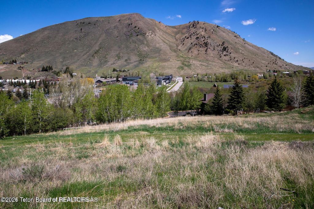 701 RODEO Drive, Jackson, WY 83001 photo 2