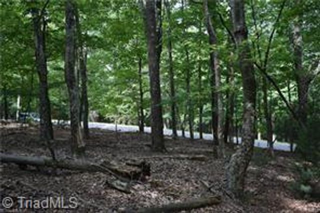 71 Grandview Drive, Traphill, NC 28685