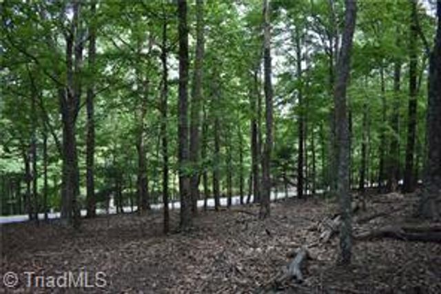 71 Grandview Drive, Traphill, NC 28685