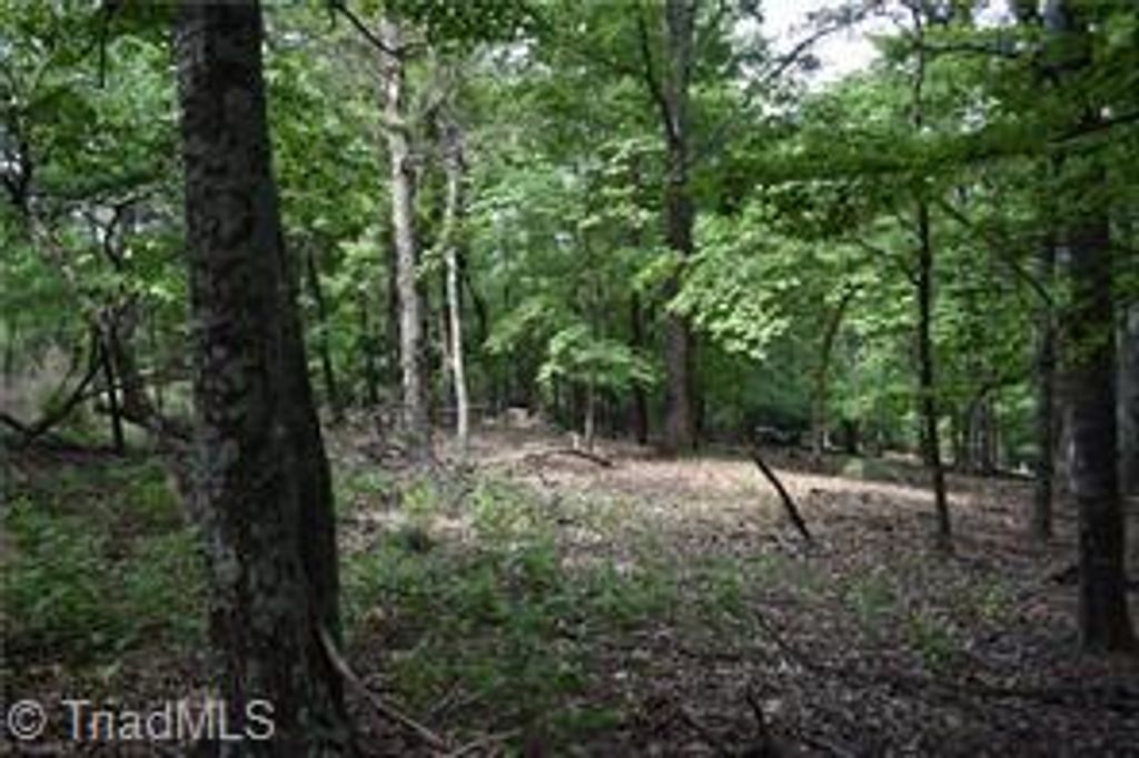 71 Grandview Drive, Traphill, NC 28685
