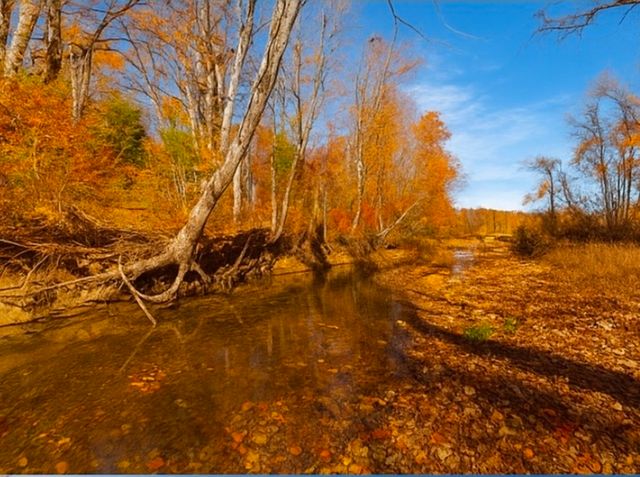 0 Old Highway 48, Clarksville, TN 37040