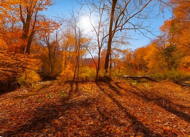 0 Old Highway 48, Clarksville, TN 37040