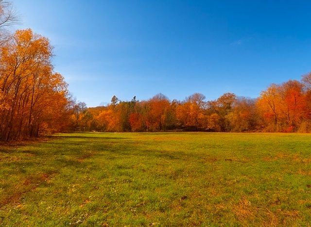 0 Old Highway 48, Clarksville, TN 37040