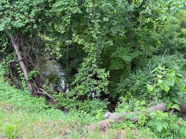 15255 Bailey Road, Bailey, MI 49303