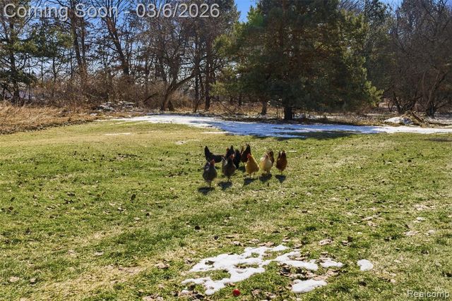 5809 Spears Road, Pinckney, MI 48169