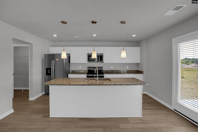 391 Aldergate Drive, Lexington, SC 29073