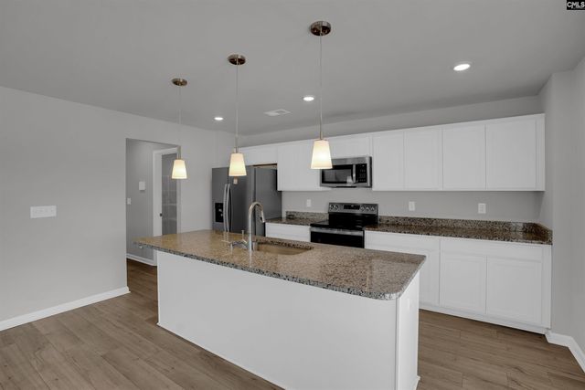 391 Aldergate Drive, Lexington, SC 29073
