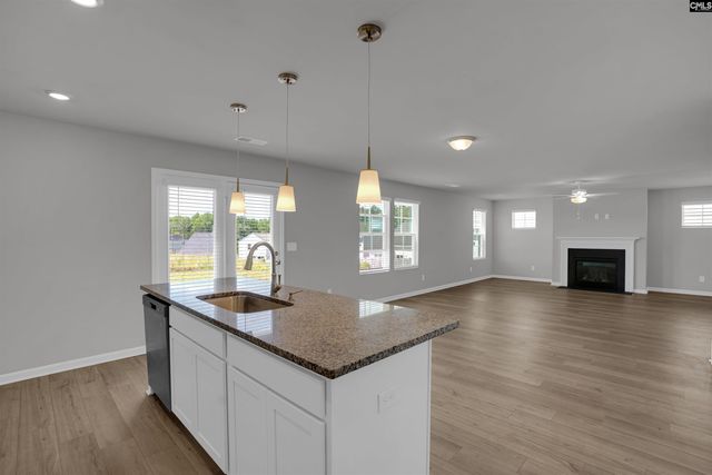 391 Aldergate Drive, Lexington, SC 29073