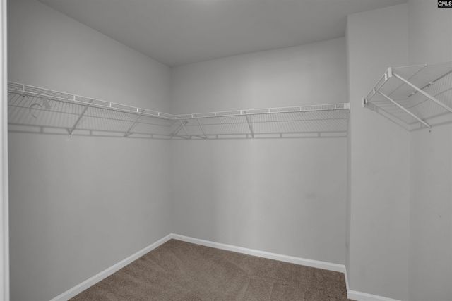 391 Aldergate Drive, Lexington, SC 29073
