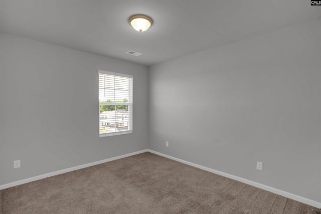 391 Aldergate Drive, Lexington, SC 29073