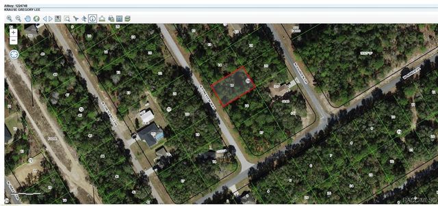 9229 N Pineview Way, Citrus Springs, FL 34434