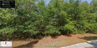 9229 N Pineview Way, Citrus Springs, FL 34434