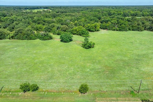 Lot 3 State Highway 19, Emory, TX 75440
