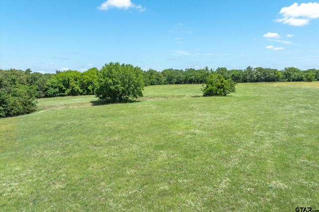 Lot 3 State Highway 19, Emory, TX 75440