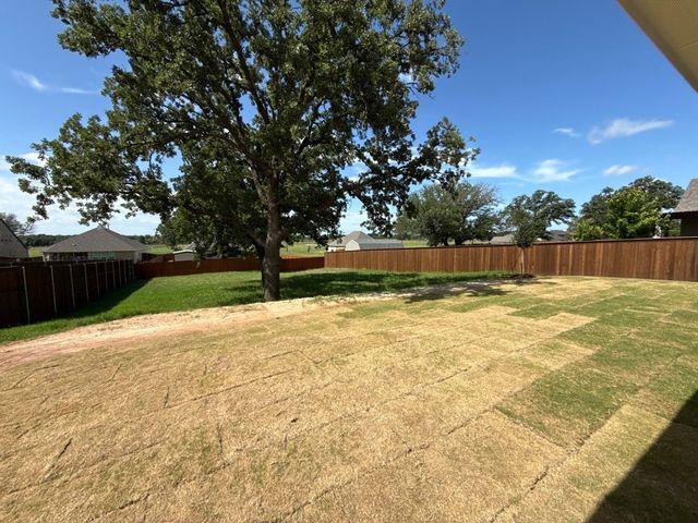 1124 Trinity Drive, Springtown, TX 76082