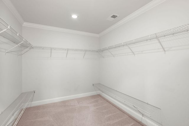 226 Seaworthy Street, Summerville, SC 29486