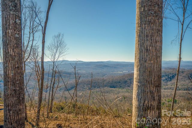 TBD E Garden Trail 33, Hendersonville, NC 28792