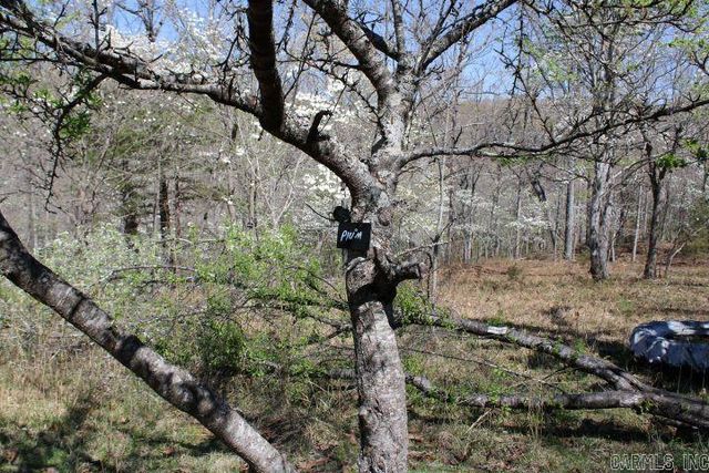 534 Oakley Road, Mountain Home, AR 72653