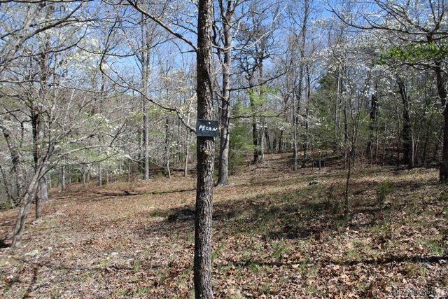 534 Oakley Road, Mountain Home, AR 72653