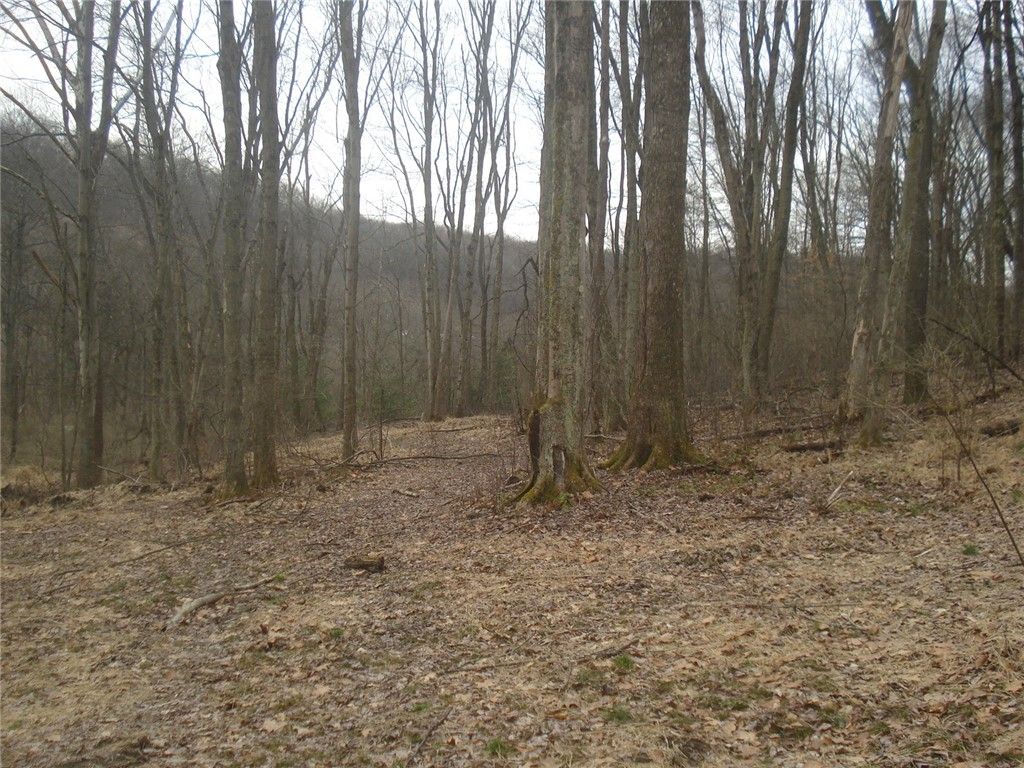 0 McDevitt, Franklin Park, PA 15143