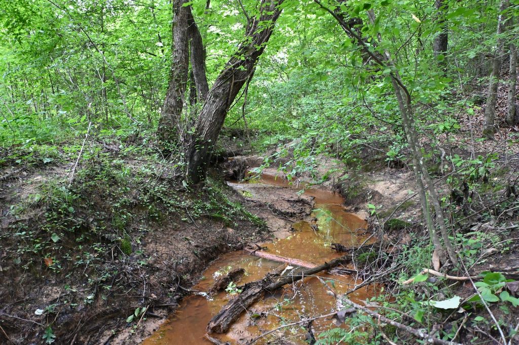 0 Blunt Rd, Decaturville, TN 38329
