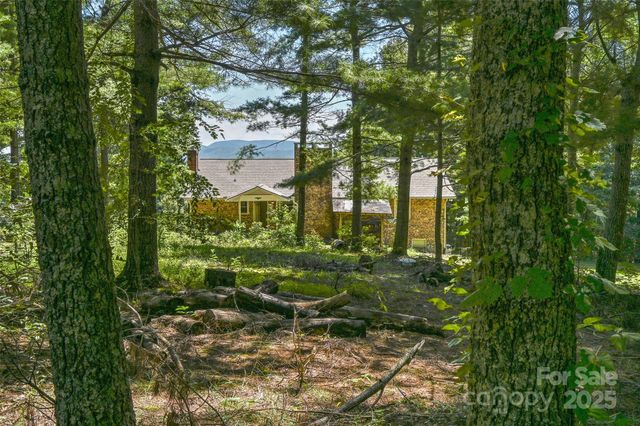 371 Heatherly Heights Road, Saluda, NC 28773