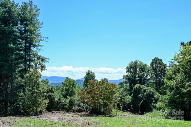371 Heatherly Heights Road, Saluda, NC 28773