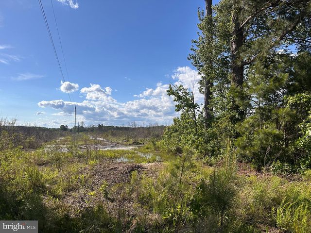 0 MT HOLLY ROAD, Montross, VA 22520