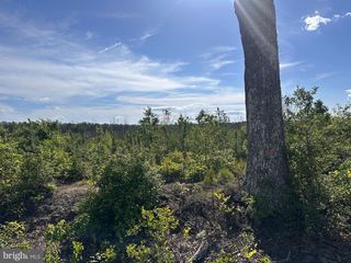0 MT HOLLY ROAD, Montross, VA 22520