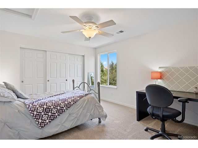 1021 Neptunite Pl, Castle Rock, CO 80108