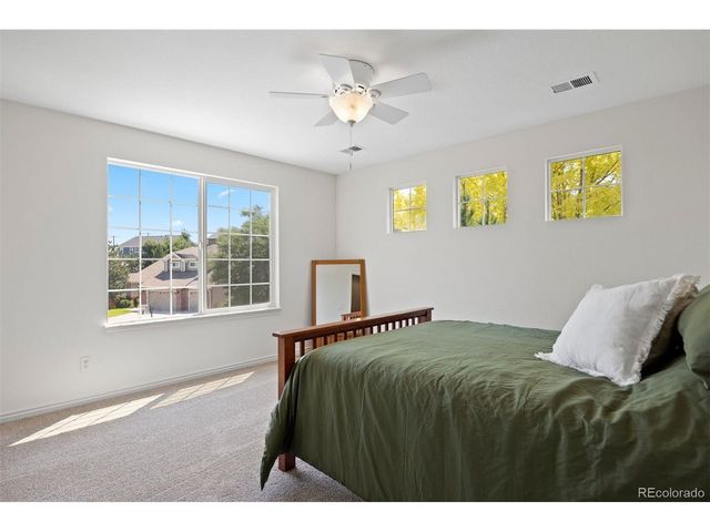 1021 Neptunite Pl, Castle Rock, CO 80108