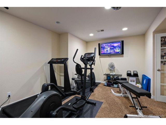 1021 Neptunite Pl, Castle Rock, CO 80108