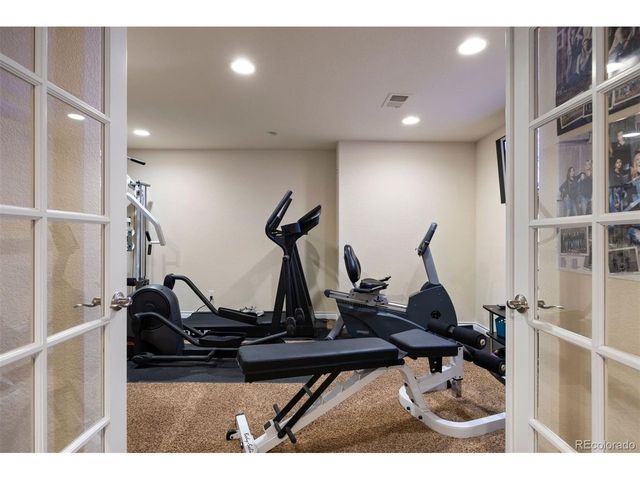 1021 Neptunite Pl, Castle Rock, CO 80108