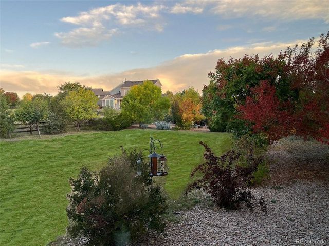 1021 Neptunite Pl, Castle Rock, CO 80108