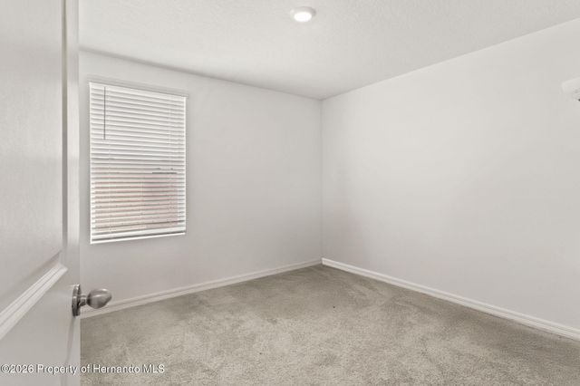 37445 Sharks Eye Lane, Zephyrhills, FL 33541