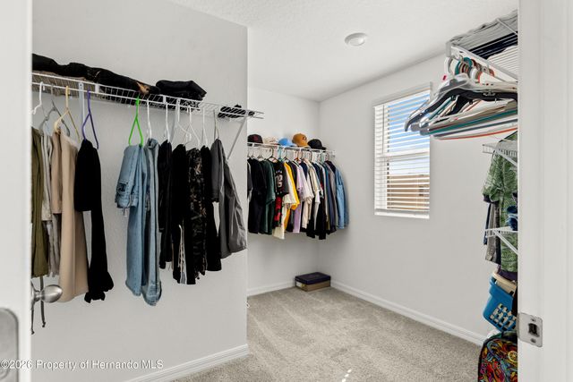 37445 Sharks Eye Lane, Zephyrhills, FL 33541