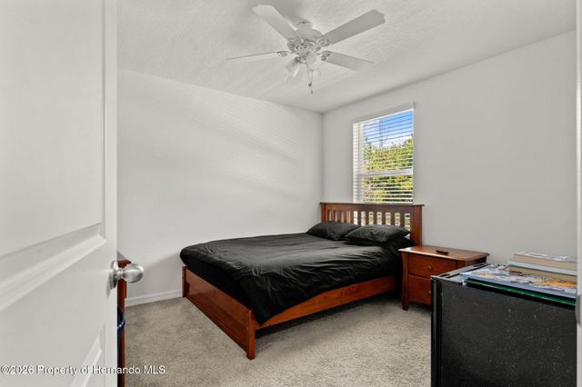 37445 Sharks Eye Lane, Zephyrhills, FL 33541