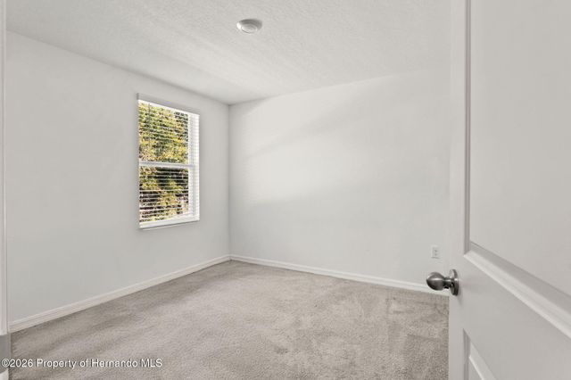 37445 Sharks Eye Lane, Zephyrhills, FL 33541