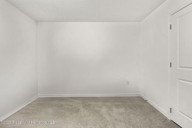 37445 Sharks Eye Lane, Zephyrhills, FL 33541