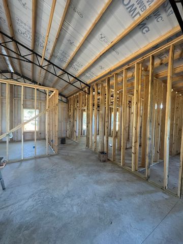 TBD E Skyline, Geneva, AL 36340