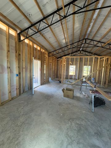 TBD E Skyline, Geneva, AL 36340