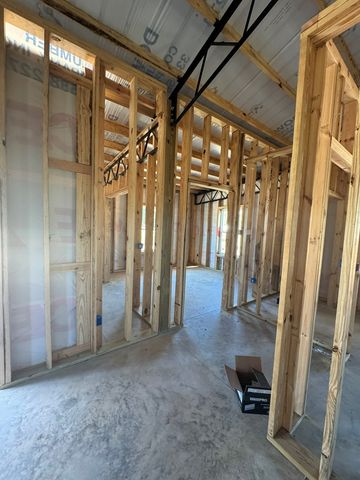 TBD E Skyline, Geneva, AL 36340